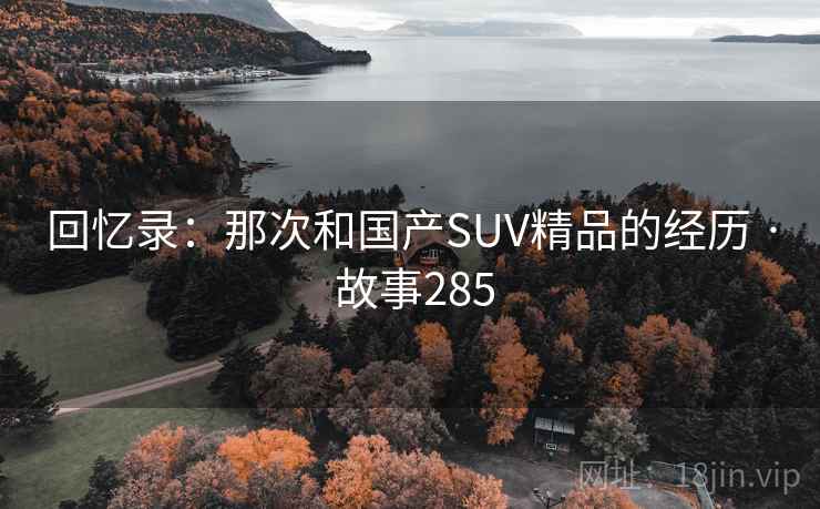 回忆录：那次和国产SUV精品的经历 · 故事285