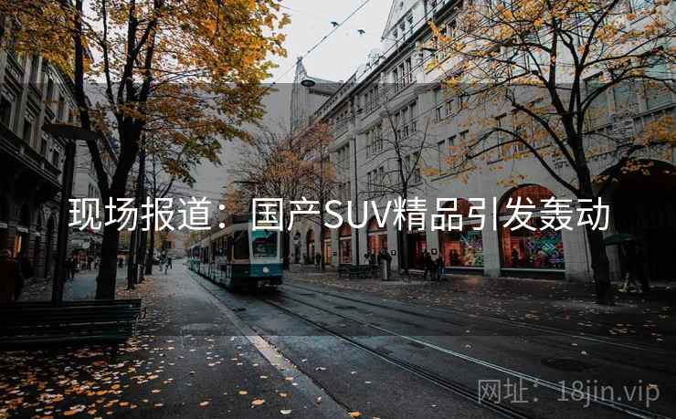 现场报道：国产SUV精品引发轰动  第2张