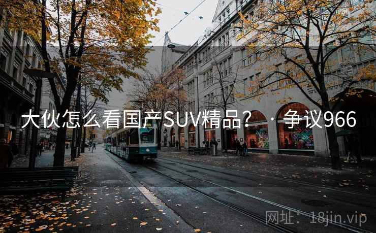大伙怎么看国产SUV精品？ · 争议966
