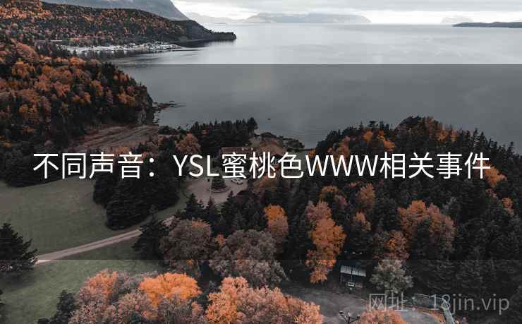 不同声音：YSL蜜桃色WWW相关事件